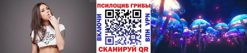 купить наркотик  Узловая  Псилоцибиновые грибы Psilocybe 